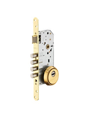 Cassa serratura da incasso per cilindro europeo, asse 50 mm, frontale ottonato, rosetta chiusa – THIRARD