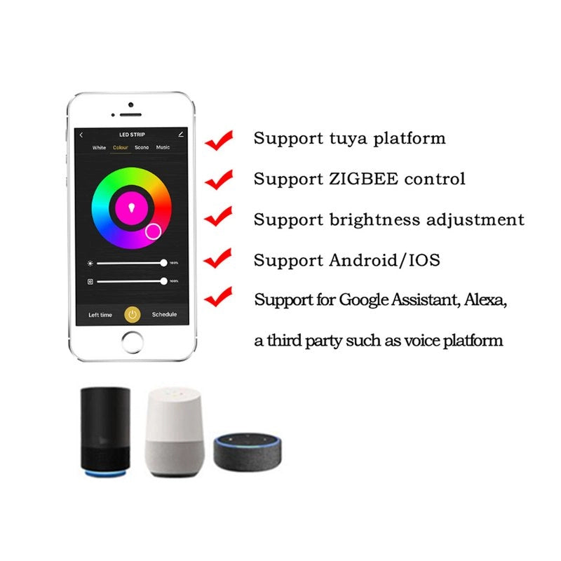 Mini ZigBee Controller 12V 24V 2 Canali Per Striscia Led CCT APP Tuya HUE Compatibile Con Alexa Google Home