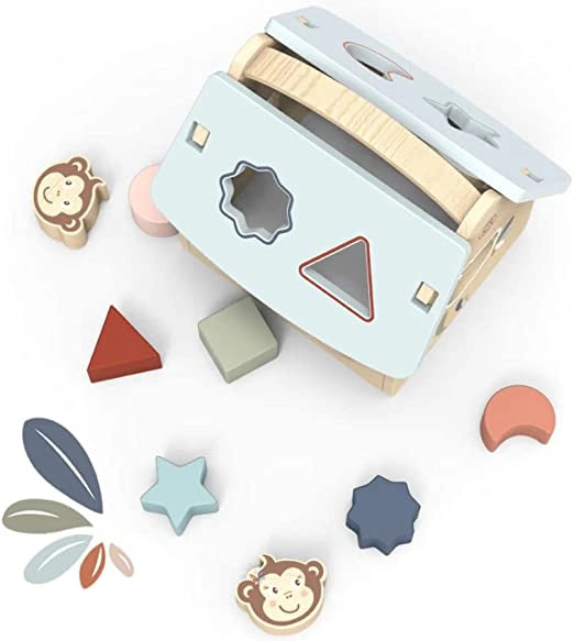 Cubo Incastri Bambini Cubo Incastri con Forme Cubi Legno Bambini Giochi Montessori 2 Anni Regalo Bambino 2 Anni Giocatto