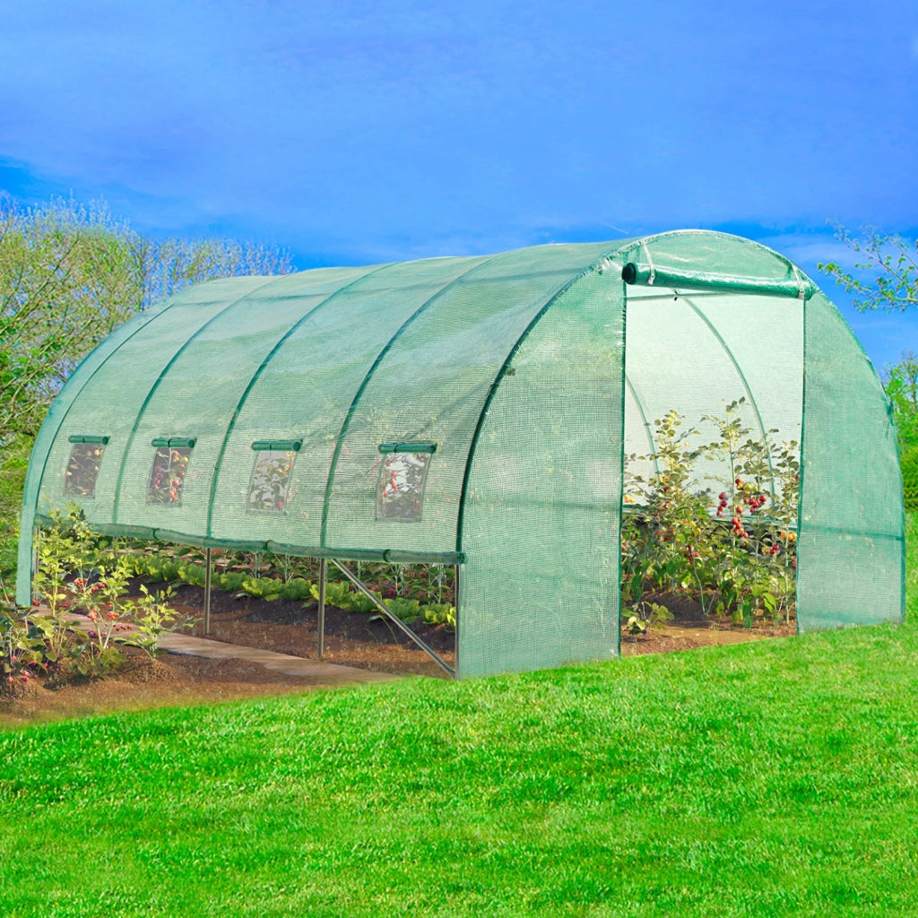 IDMarket - Serra tunnel di giardinario 12m²  verde 4 stagioni ZEBRA 4x3M