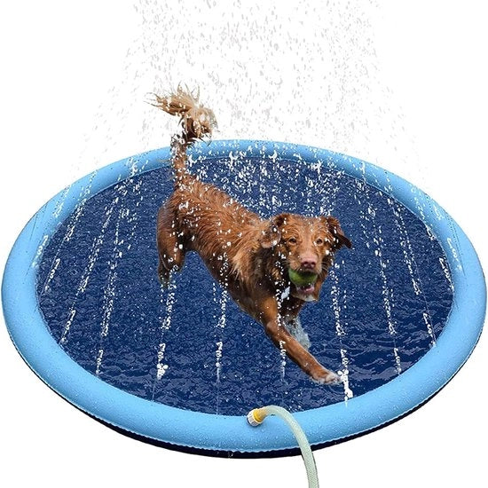 Piscina per cani Ø 100cm - Flessibile - Gettatore per giocattoli - Raffreddamento cani - raffreddare - piscina - Anti scivolamento - Doccia per cani - Bagno - Acqua - Fontana