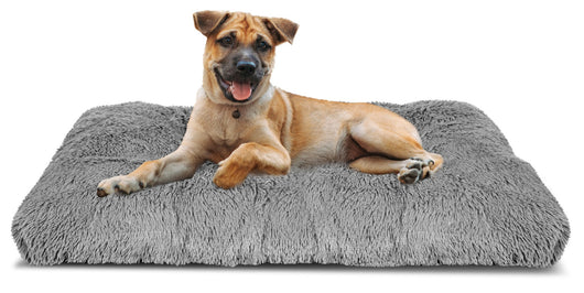 AIO FACTORY Cuscino per cuccia per cani 100x70 cm grigio chiaro peloso impermeabile