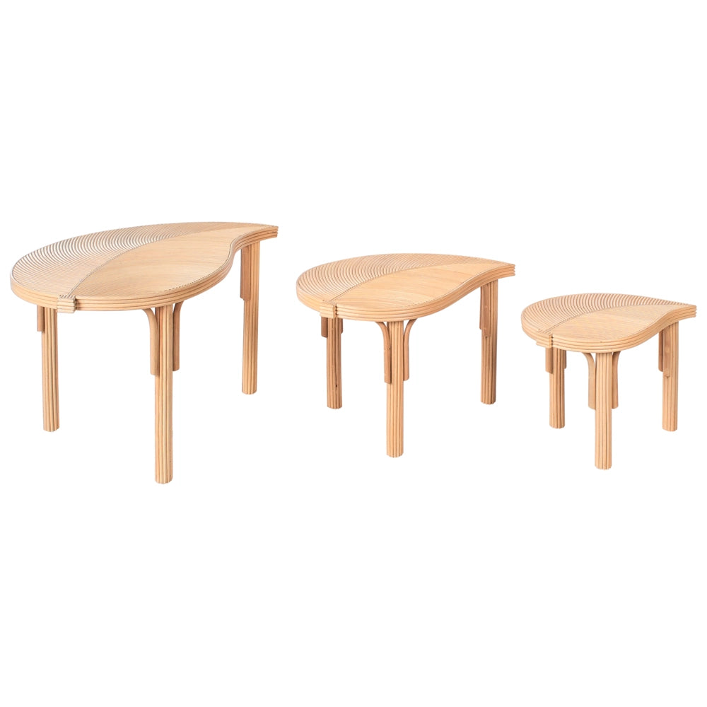 Set di 3 Tavolini in Rattan Naturale Tavolini Impilabili per Interni ed Esterni