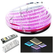 KIT striscia LED IP67 24V RGB 5 metri giochi di luce cromoterapia box doccia sauna WiFi controllo vocale Alexa Google
