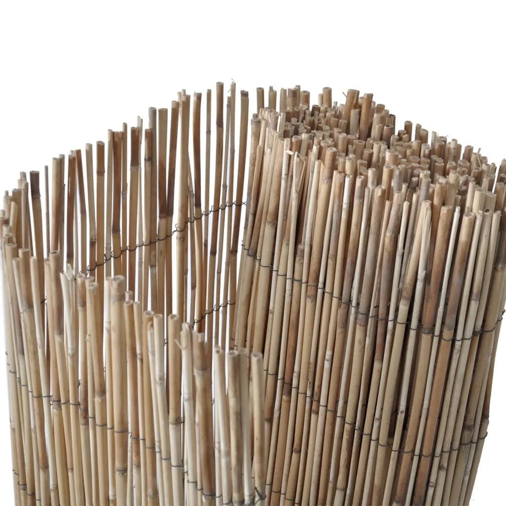 Recinzione da Giardino | Recinzione da cortile 600x100 cm Giunco
