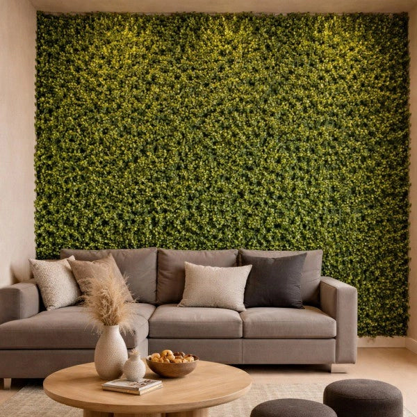 SEMPREVERDE BUXUS 1X1 - BIACCHI E,