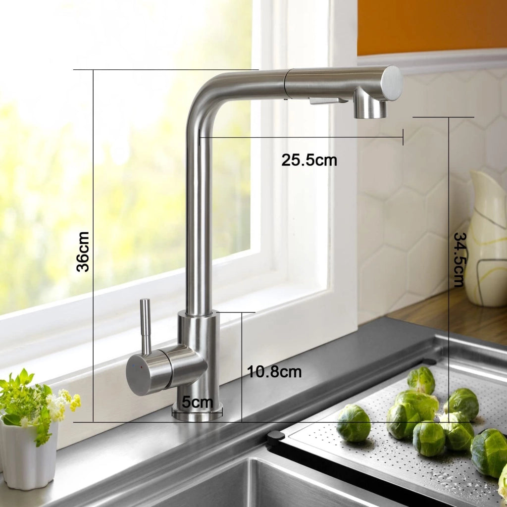 ZMH Rubinetti cucina estraibile in acciaio inox con doccia e 2 getti