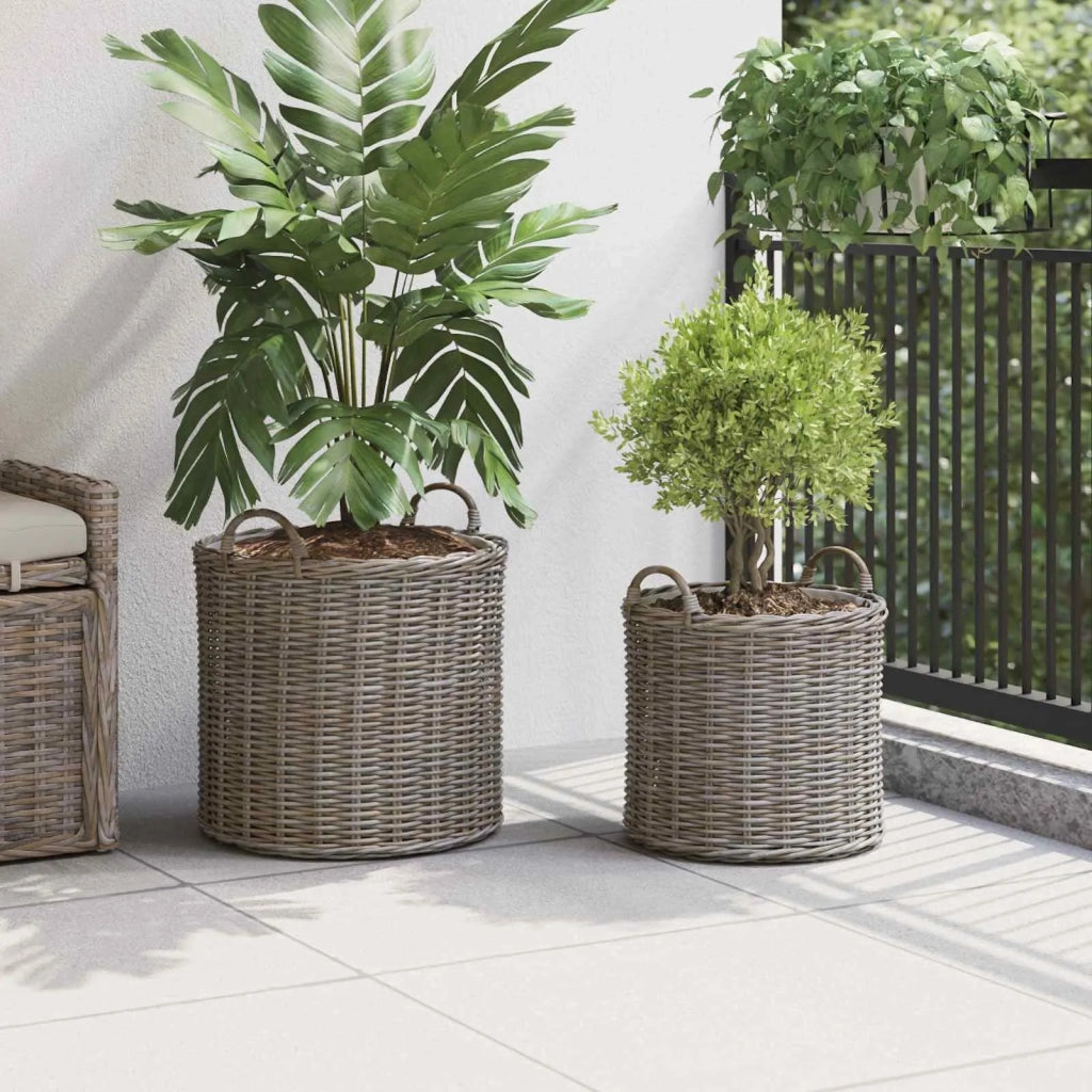 Cestino per piante con archiviazione 2 pcs Grigio Rattan Lacak 42020951