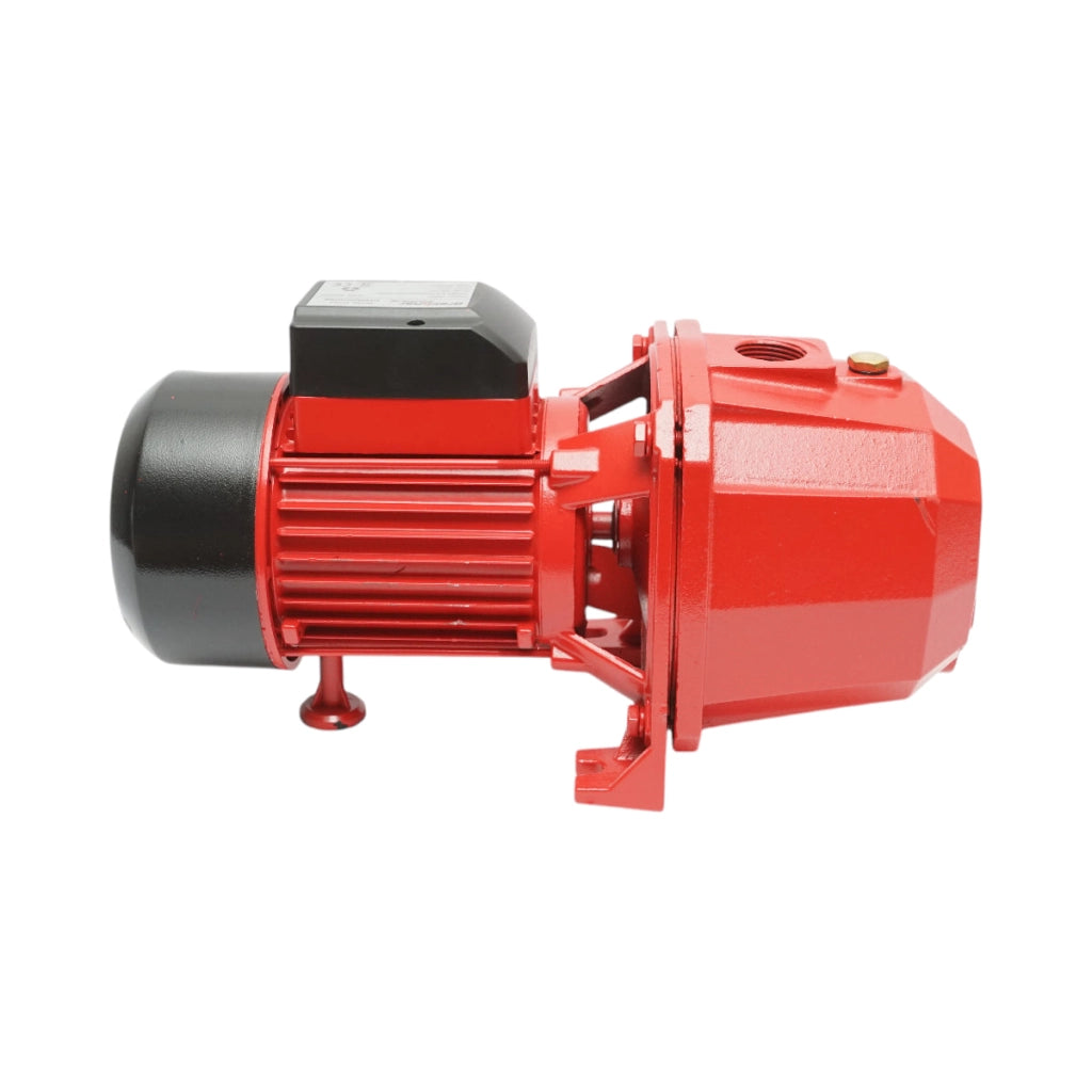ELETTROPOMPA AUTOADESCANTE POMPA DI SUPERFICIE 750W, 220V, H42m, 80 L/min DP255 Breckner Germany
