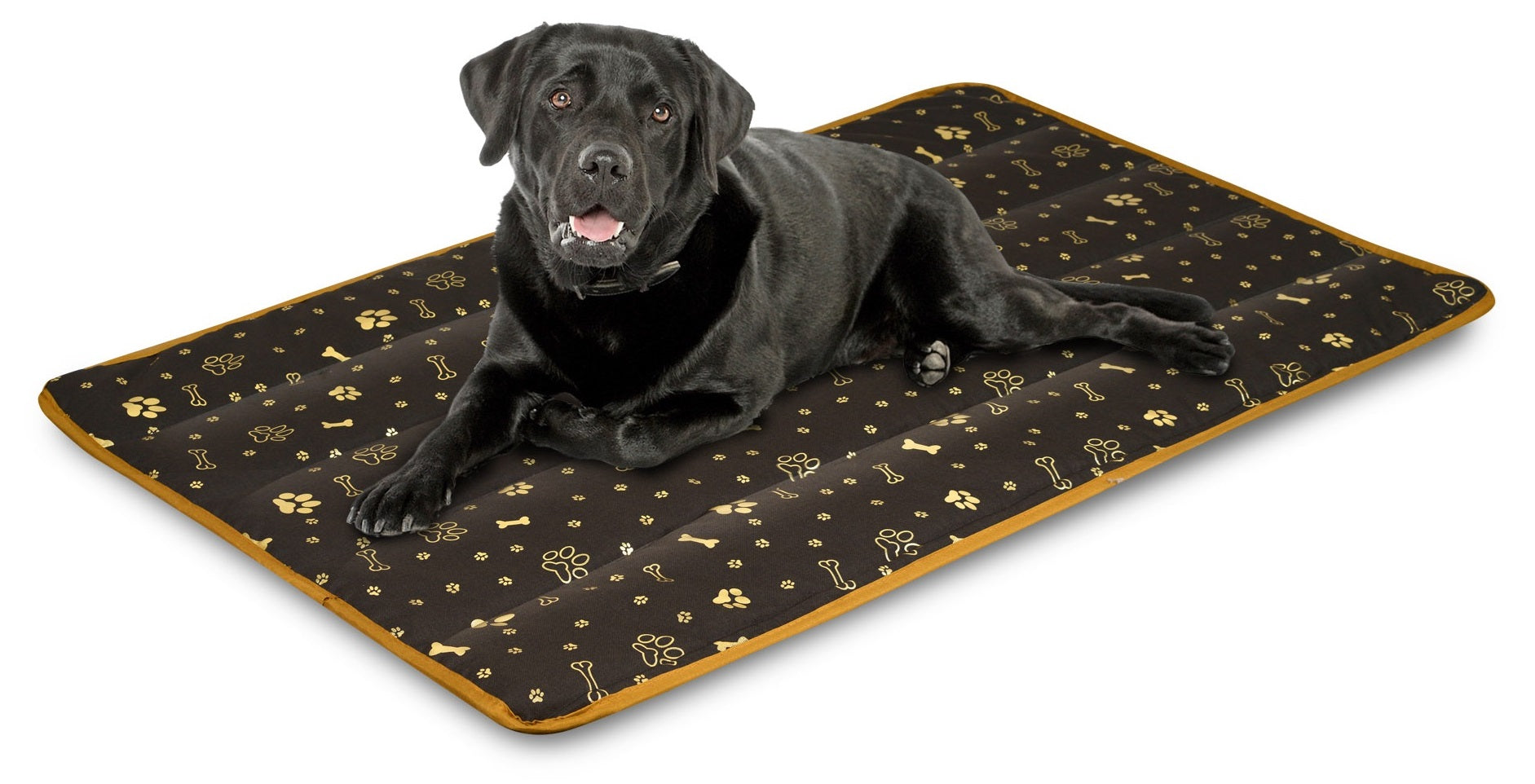 AIO FACTORY 80x60 cm Tappetino per cuccia per cani impermeabile Golden Bones