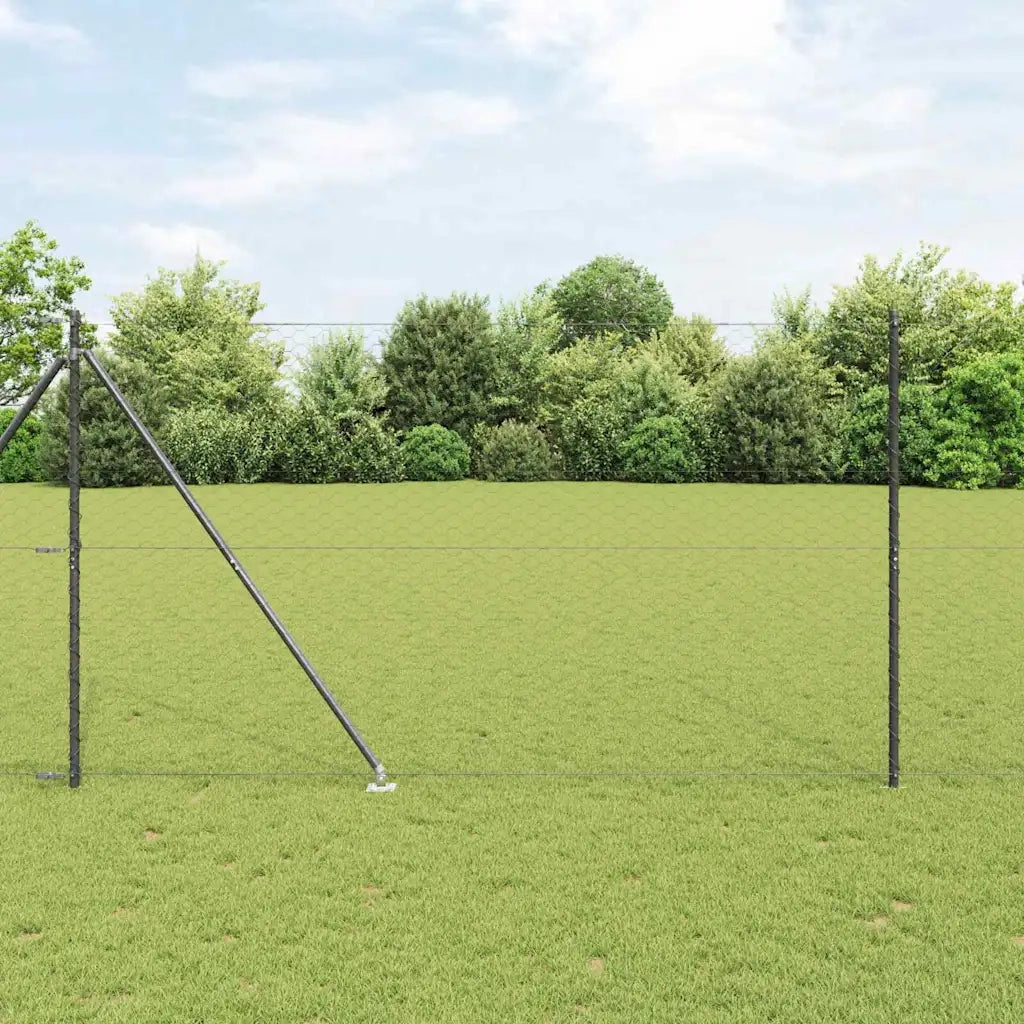 Palo della recinzione Grigio 50 x 1,6 m (rete da 50 mm)