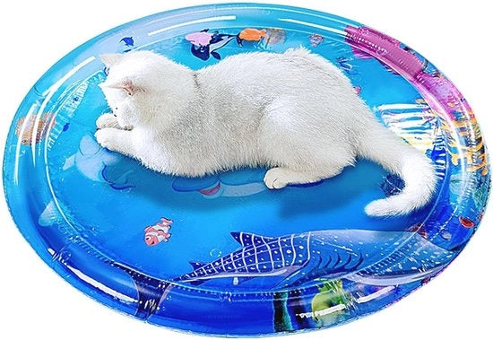 Matrice interattiva per gatti | Mat di gioco rinfrescante per gatti da appartamento | Perfetto giocattolo per animali domestici annoiati