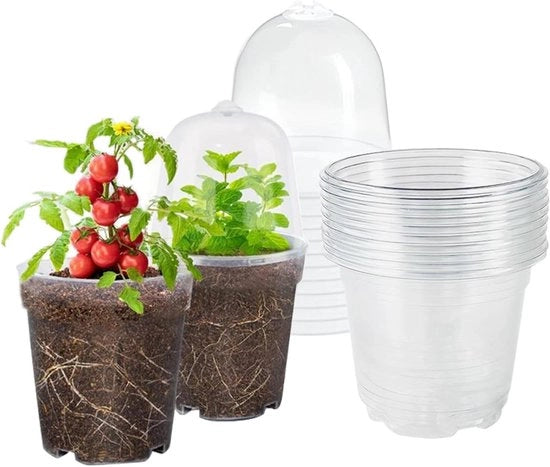 Set di 10 vasi trasparenti con coperchio e cappuccio per la crescita - adatto per succulente, semi e piantine - diametro 10 cm
