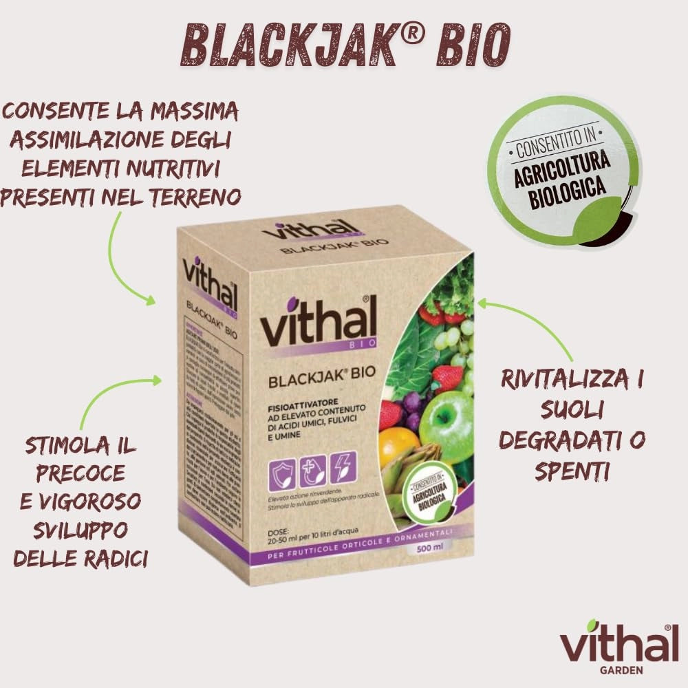 FISIOATTIVATORE BLACKJAK VITHAL BIO  ml.500    VITHAL