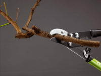 Troncarami per Potatura Alberi Rami Ø40 mm con Rinvio a Battente Rama