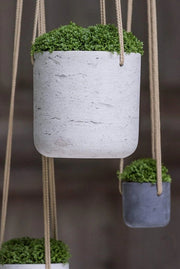 Sostegno per piante a terra, imitazione di cemento - Larghezza 18 cm Altezza 175 cm Sostegno per fiori