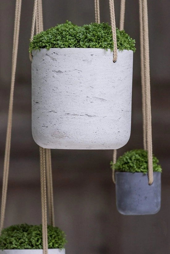 Sostegno per piante a terra, imitazione di cemento - Larghezza 18 cm Altezza 175 cm Sostegno per fiori