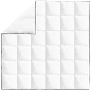 Piumone Invernale Piuma Anatra 200x200 cm 132883