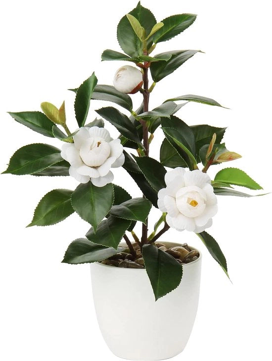 Piante artificiali in vaso di plastica, fiori decorativi di seta, camelia, fiori artificiali per casa, hotel, decorazione