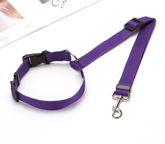 Cinturoni di sicurezza per animali domestici, cavi in nylon, cinturoni di sicurezza per la zona posteriore, collari per cani regolabili, accessori per animali domestici, Blu, 35-47,5*42,5-75cm