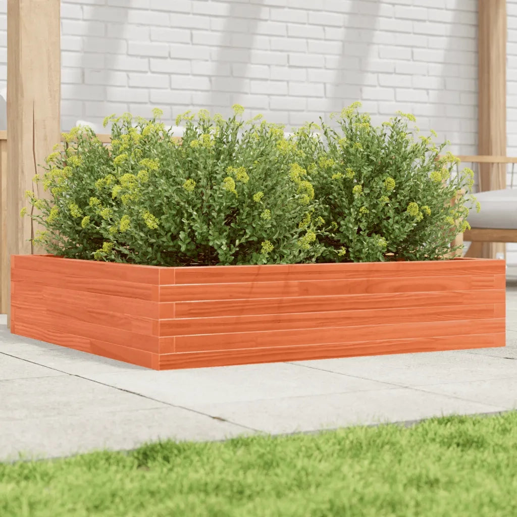 Fioriera Giardino Marrone Cera 100x100x23 Legno Massello Pino 847210