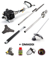 Multiutensile Alpina AMT 26 5 in 1 Decespugliatore Tagliasiepi Motosega 25 cc