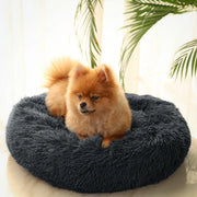 Letto per cani, cuscino per gatti, cuscino a donut, morbido, cuscino per gatti riposante, rotondo e in piuma, letto per cani, lavabile (50 cm, grigio scuro)