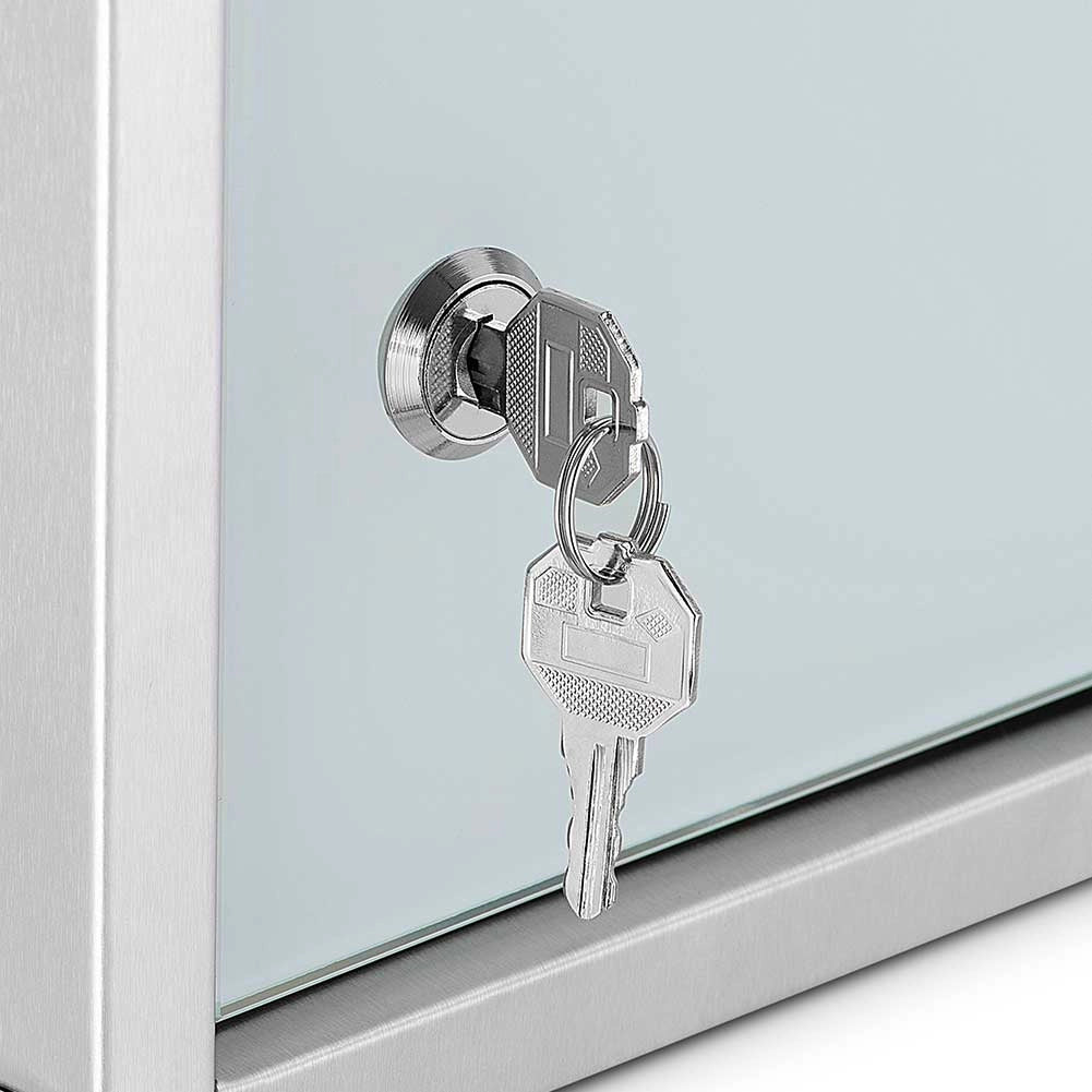 Armadietto Porta Medicinali Acciaio Inox e Vetro Satinato 30x30x12 cm con Chiave