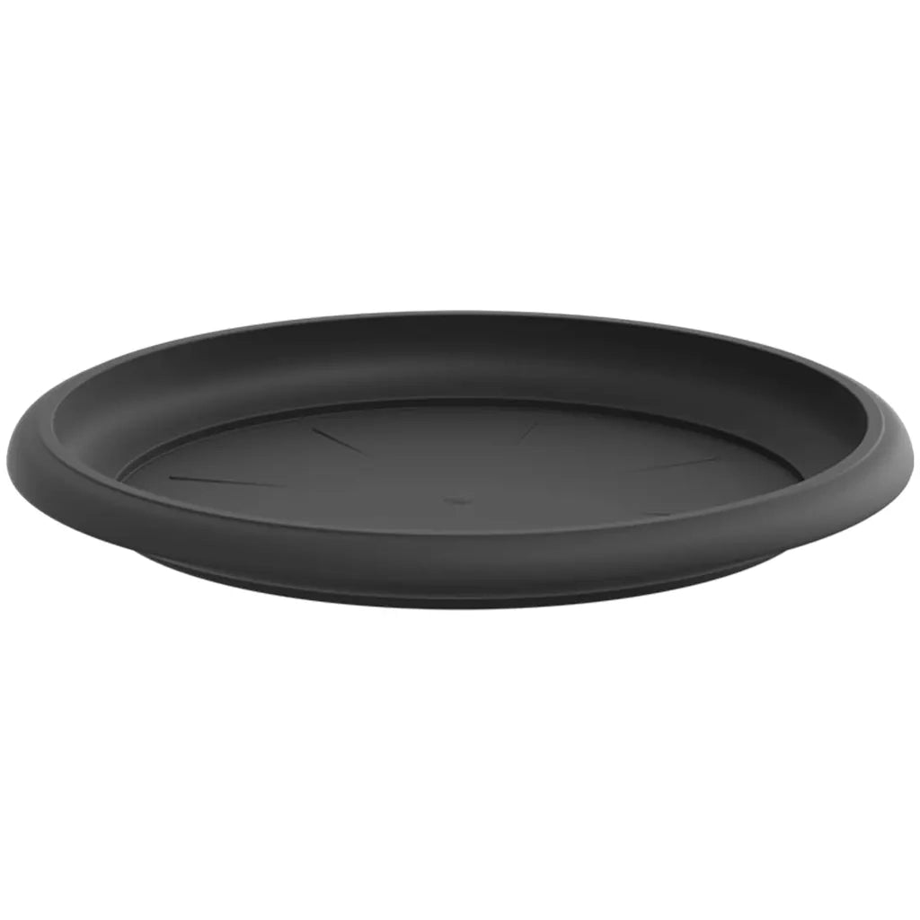 Vassoio Rotondo per Fiori 6 pz Nero ? 19 x 2 cm Plastica CFW2899345