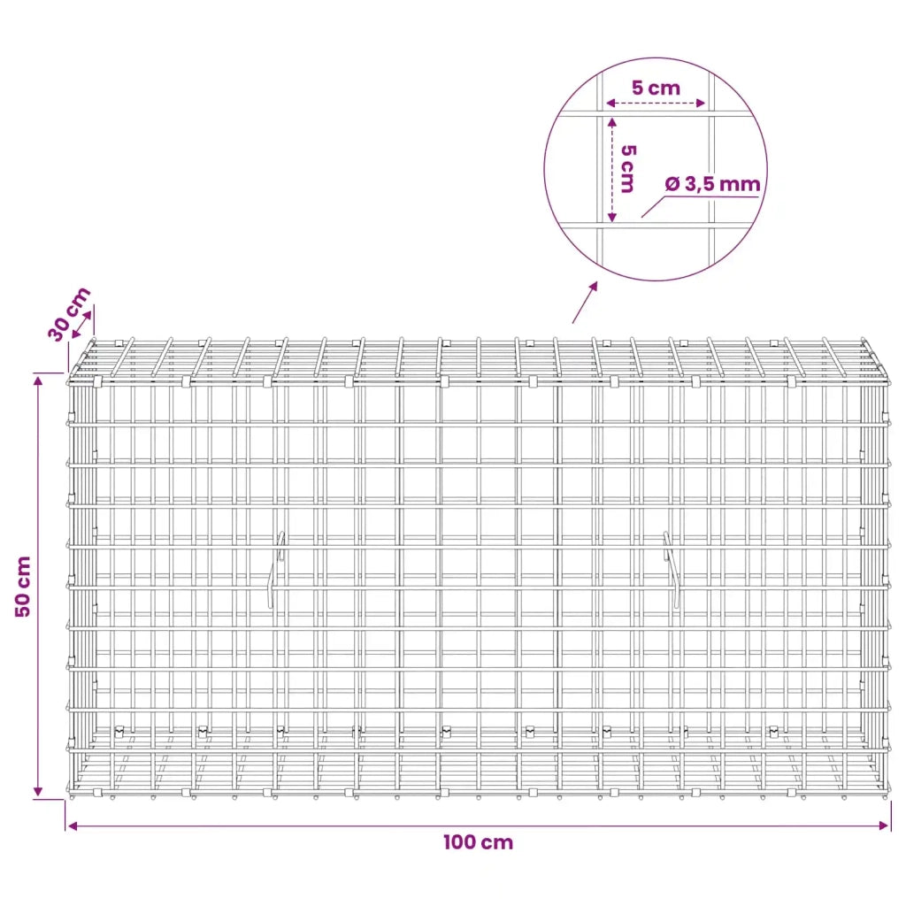 Gabion con Filo da 3,5 mm e Maglia da 5x5 cm 100x30x50 cm 3462212