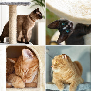 Albero tiragraffi per gatti beige con zampe 130 cm Albero per arrampicarsi Tiragraffi Gatto