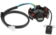 Stator Magneto 6 Spoel - Alluminio - GY6 - Accensione - Produzione Energetica - Adatto per Motocicletta - Stator Motore