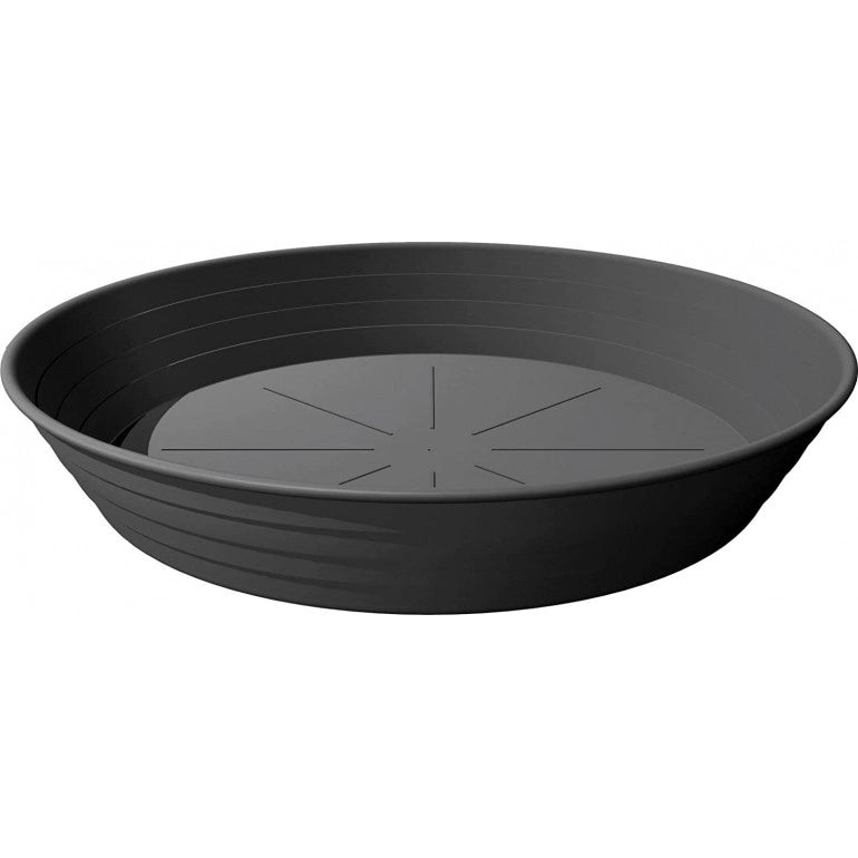Sottovaso Primavera Ø 24 Cm