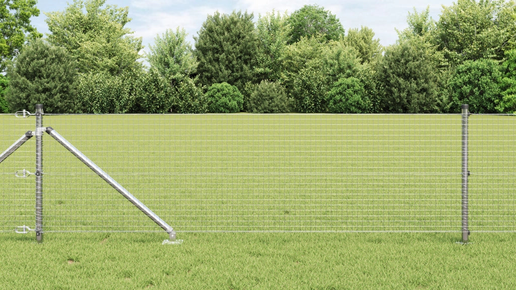 Recinzione in rete saldata con 13 paletti a punta 0.8x100 m in acciaio galvanizzato