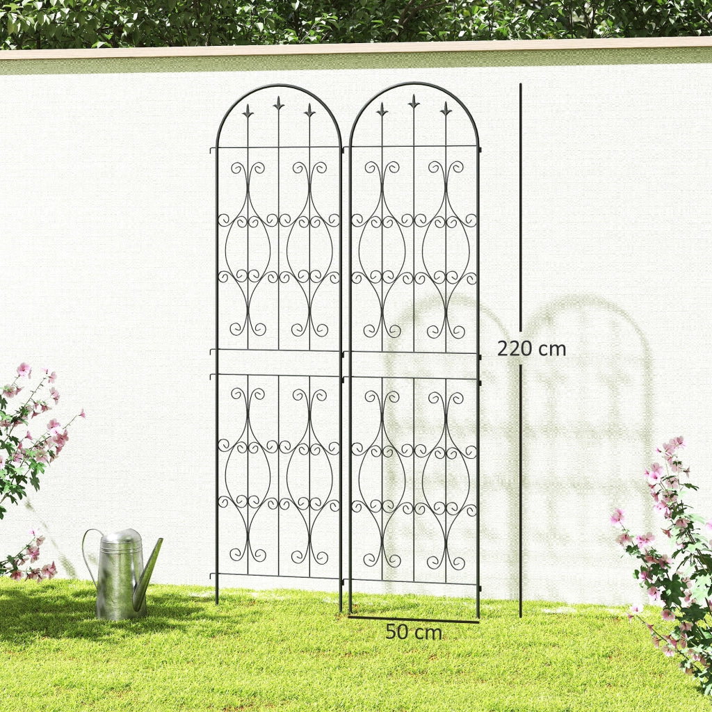Supporto per piante rampicanti ¨C zephmum ¨C metallo 50x220 cm nero