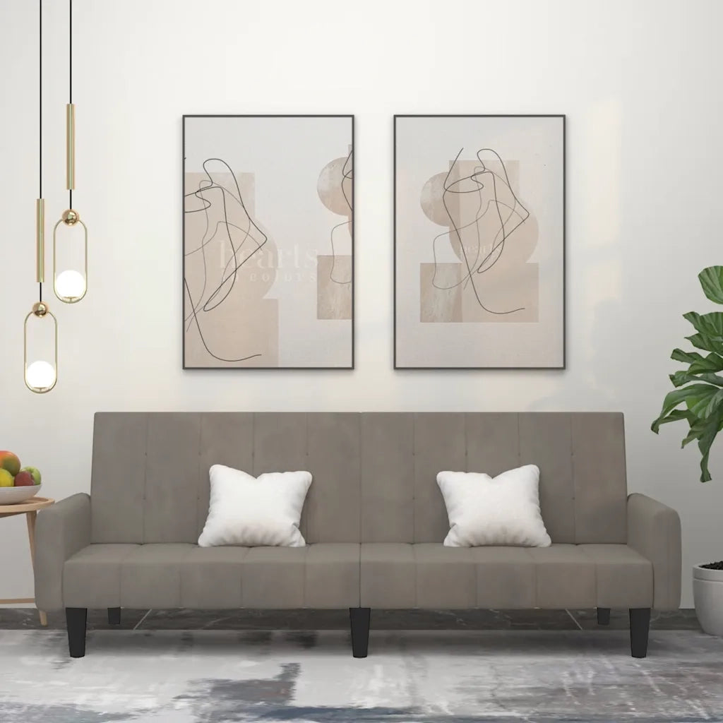 Divano Letto a 2 Posti-Sofa Letto 2 Posti-Daybed Grigio Chiaro in Velluto 730387