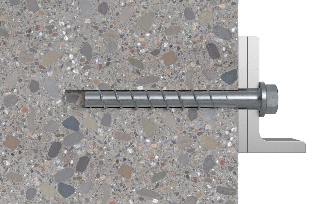 Fischer 536855 giravite e bullone 100 mm 50 pz Vite