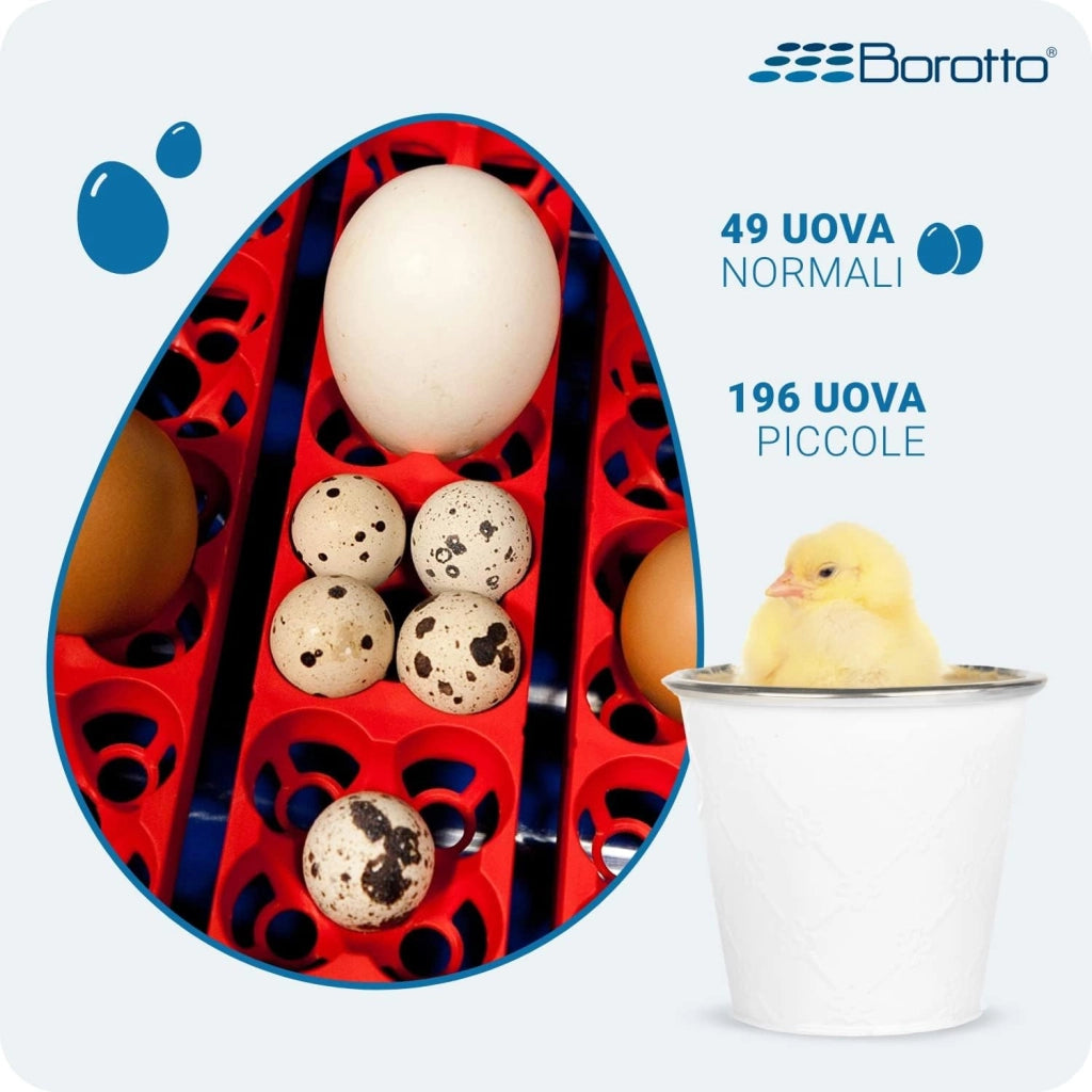 Borotto REAL 49 Expert - Incubatrice Automatica Professionale Brevettata, con Umidificatore Automatico Sirio - per 49 Uova o 196 Uova Piccole