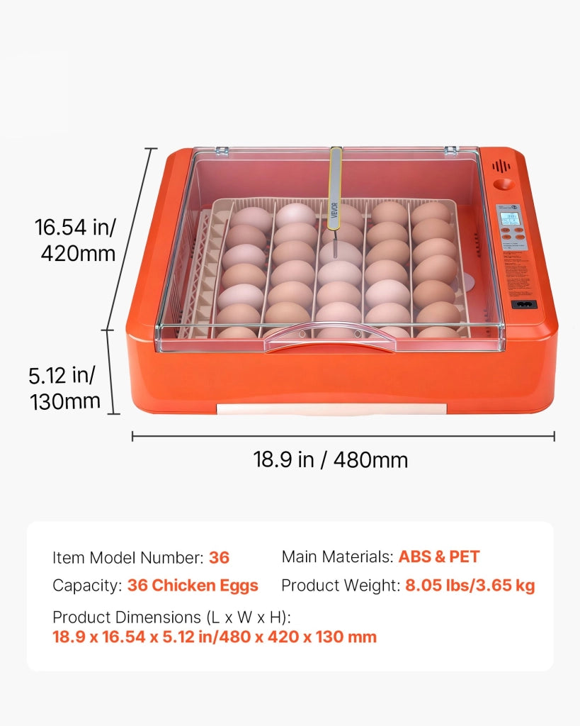 Incubatrice Automatica per 36 Uova in ABS e PET con Candela a LED Display Temperatura e Controllo Umidità