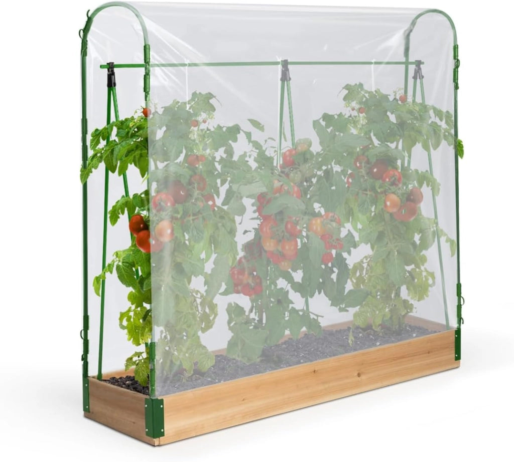 Kit Completo di 3 vasche modulari per orto e Serra di pomodori + Traliccio + Copertura