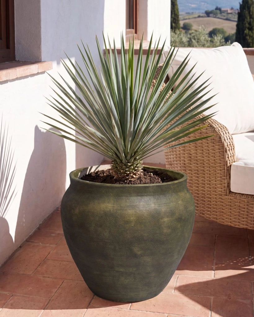 Vaso Piante Verde Scuro Pietra Fibra d'Argilla 54 x 54 x 49 cm Poliresina Interno Esterno