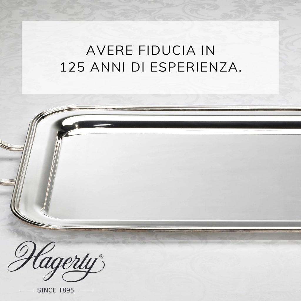 Silver Care 185 g Hagerty 2 Pezzi