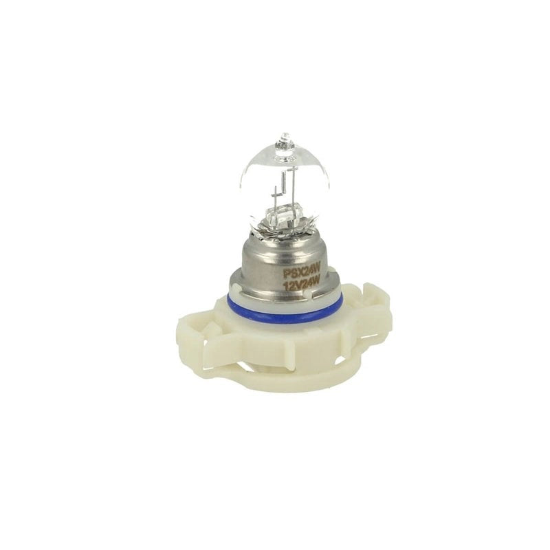 2 Lampade Alogene PSX24W 12V 24W PG20-7 Clear Compatibile con Philips 12276 C1