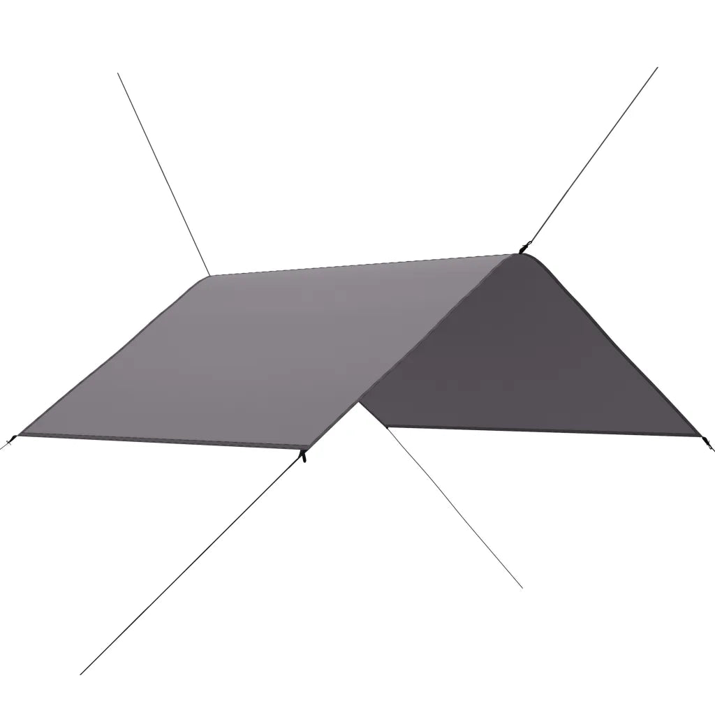 Telone per Esterni 3x2,85 m Grigio 899237