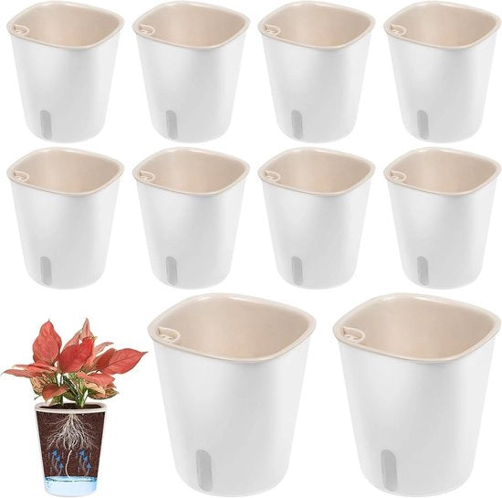 Piantine auto-irriganti con sistema di irrigazione - 10 pezzi