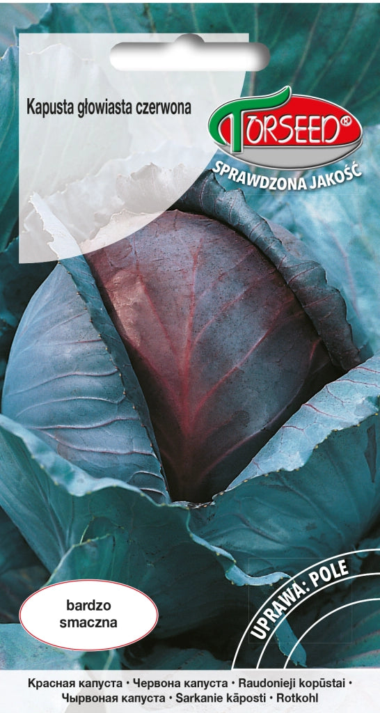Cavolo cappuccio rosso Langedijker Dauer 2 1g