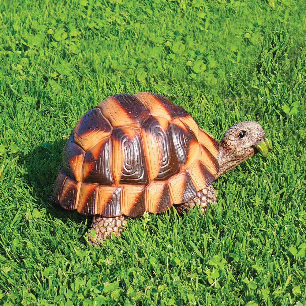 Tartaruga Media in Resina H14 cm per Laghetti e Giardini