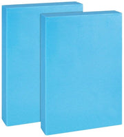 Blocco schiuma XPS - 2 pezzi - rettangolare 300 x 195 x 50 mm - schiuma per fai da te/scultura - composizioni floreali - materiale schiuma di alta qualità - schiuma bloccata