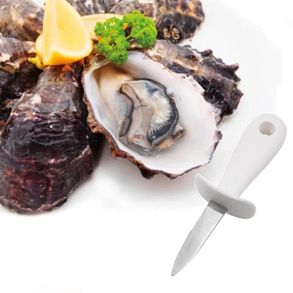 Coltello Apri Ostriche Capesante Frutti Mare Apriostriche Acciaio Colore Casuale