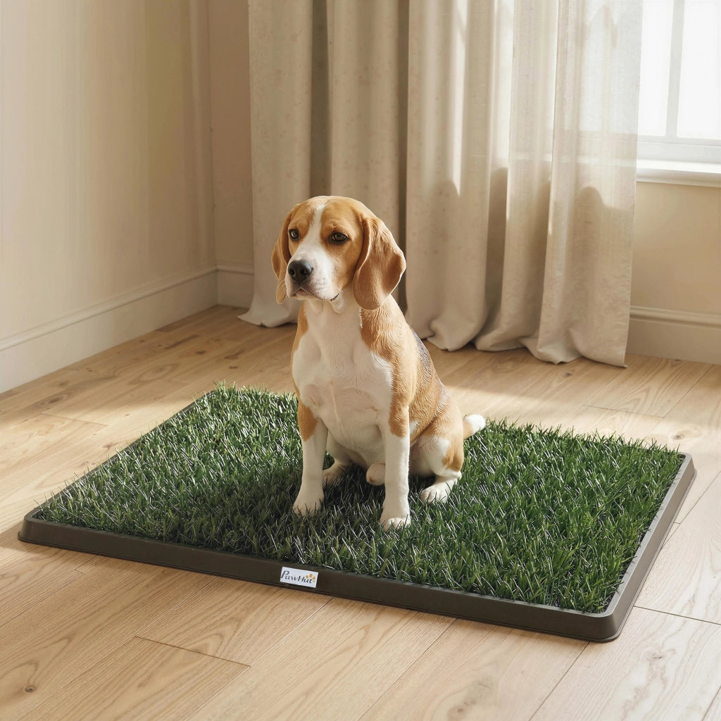 Tappetino Erba Sintetica per Cani ¨C Zephmum ¨C Verde 76x50.5 cm